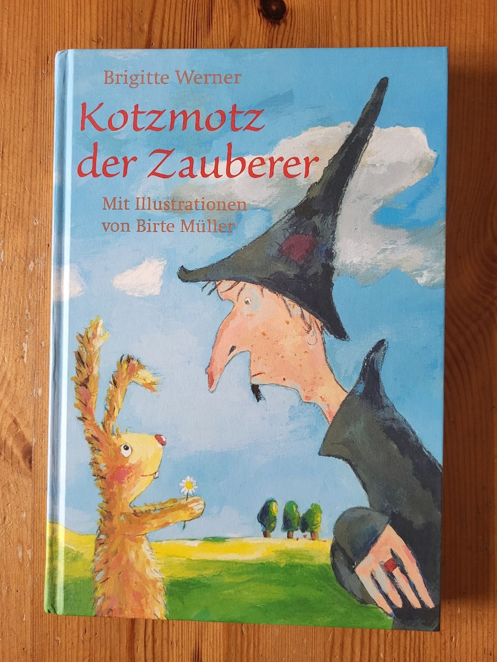 Libri: Kotzmotz der Zauberer – Usato da Zufikon venduto da Joyra