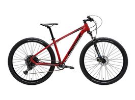 Bike - Dein perfekter Begleiter für jedes Gelände!