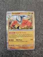 Hariyama MEG EN 073/132
