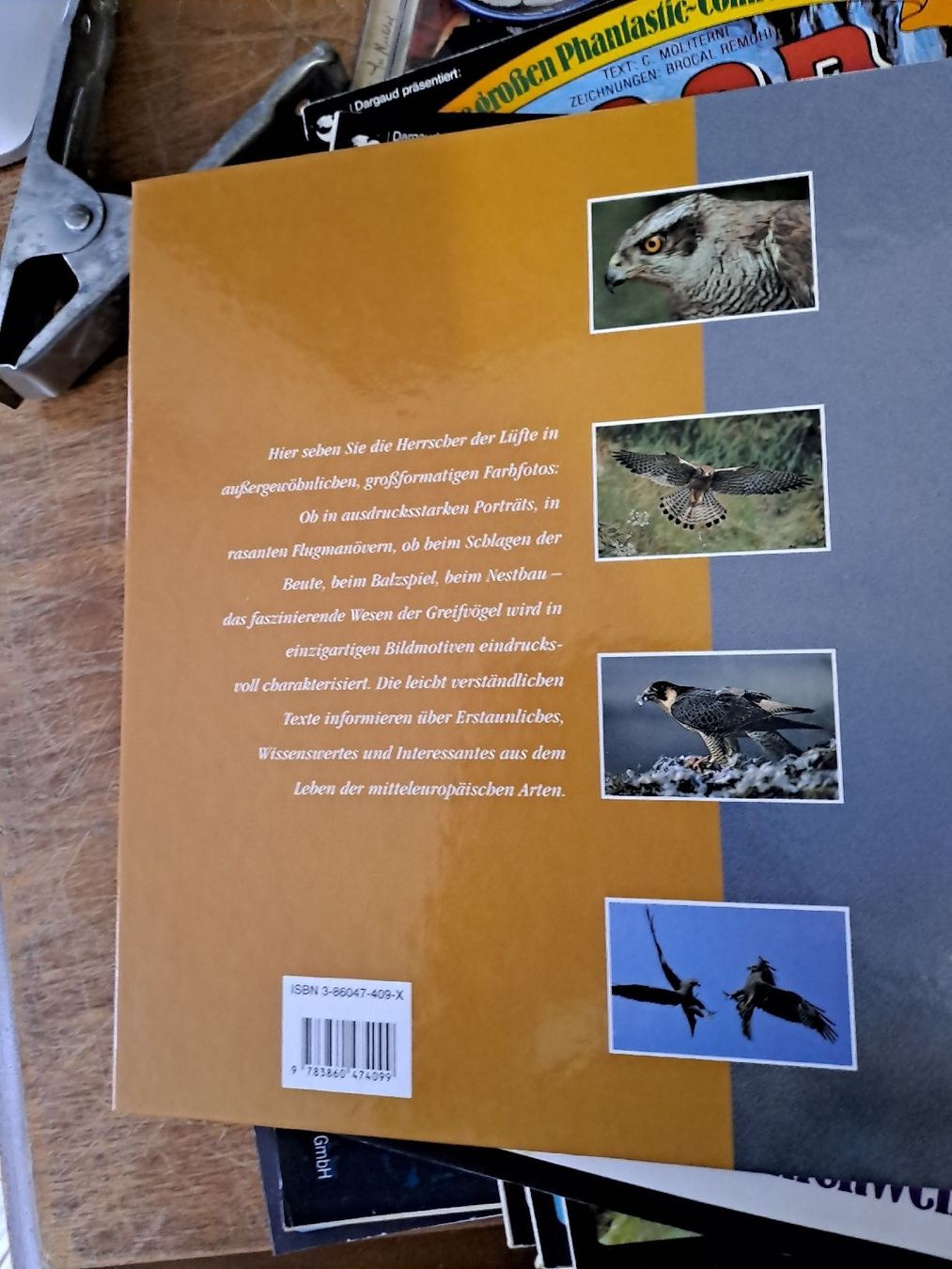 Libri: Greifvögel - Ein Bildband von Einhard Bezzel – Usato da Zürich venduto da Schoebi19 2