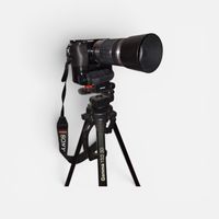 Sony Alpha A6100 + Sony E 55-210mm 