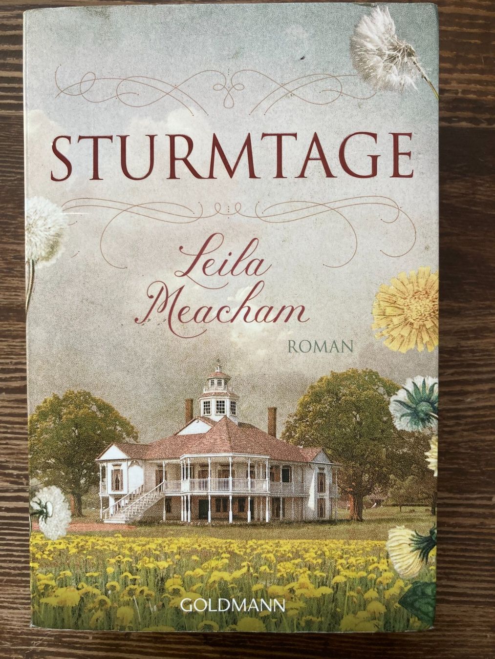 Libri: Sturmtage - Leila Meacham – Usato da Wohlen AG venduto da benjaminblack73