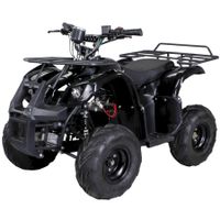 Actionbikes S8 FARMER Elektro-Kinderquad