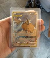 Pokemon Raichu & Alolan Raichu GX 221