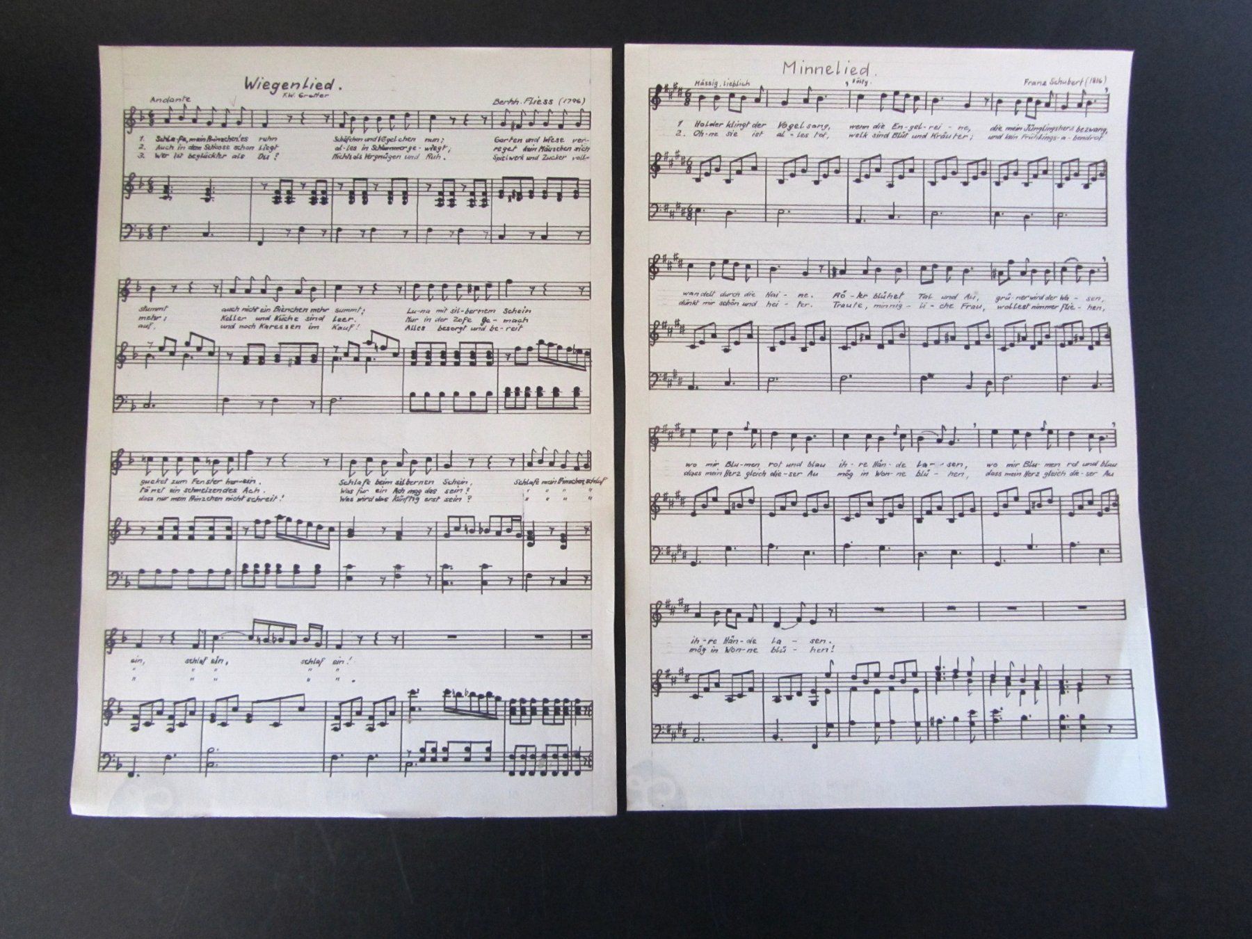 Libri: HAEUSSLEIN "Das Lied" – Usato da Muhen venduto da Restwert_Muhen 4