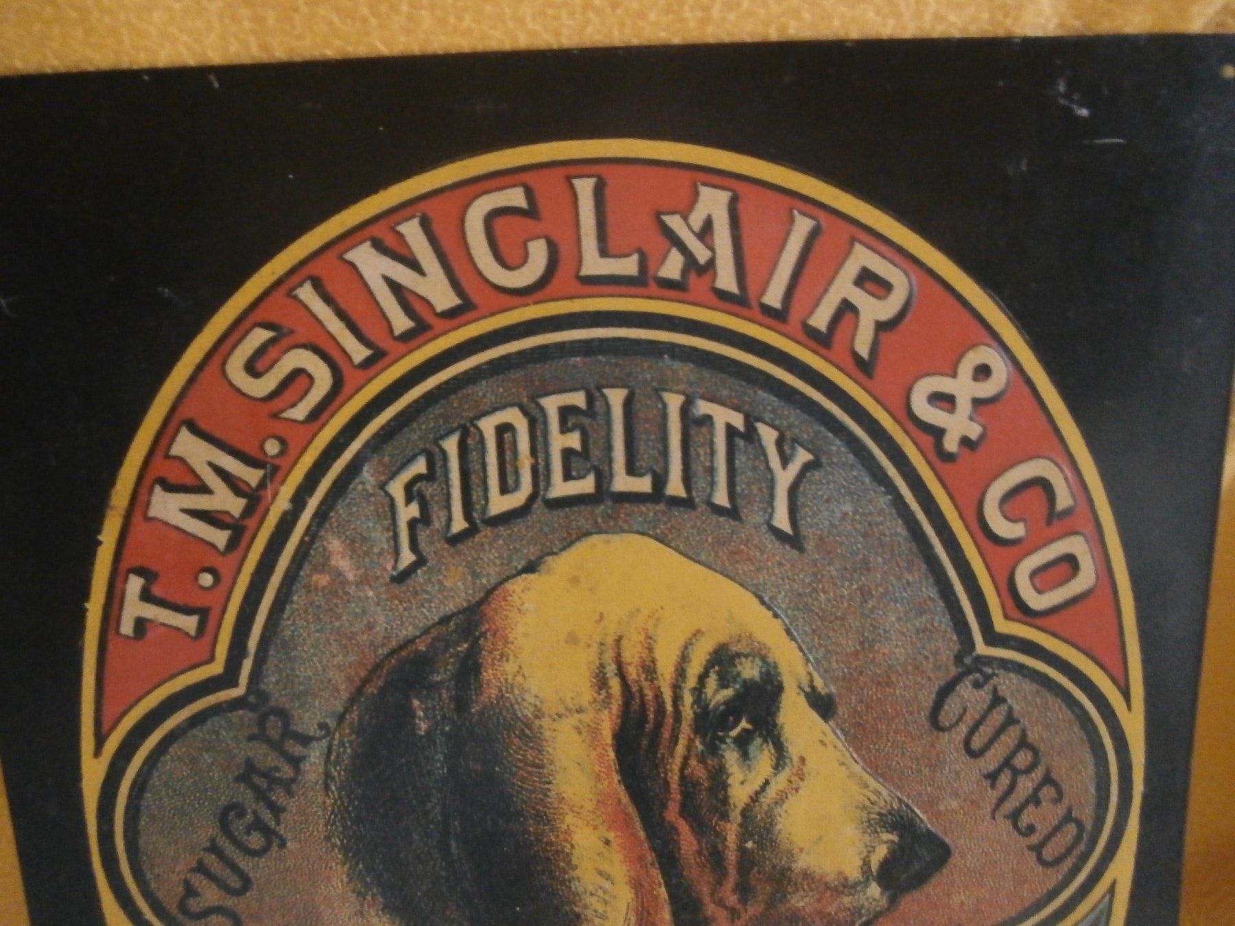 Insegne: Blechwerbe Schild "T.M. SINCLAIR & CO IOWA" Sujets Hund – Usato da Rüschegg-Heubach venduto da Ofen111 1