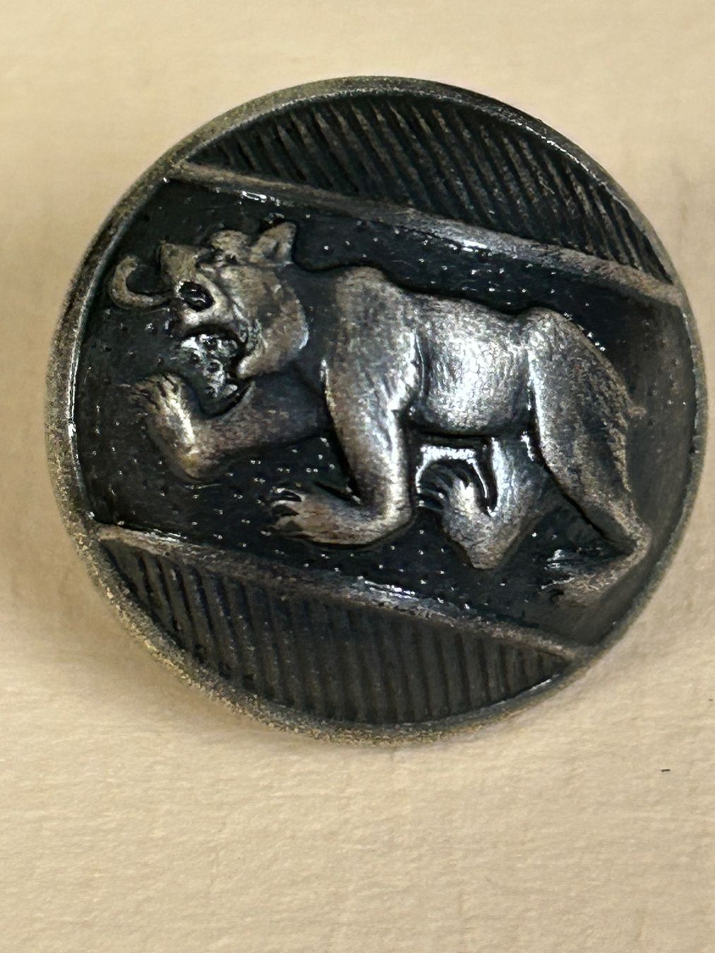 Knöpfe: 4 Uniformknöpfe Kanton Bern – Neu (gemäss Beschreibung) aus Pfeffingen von Alusru70 2