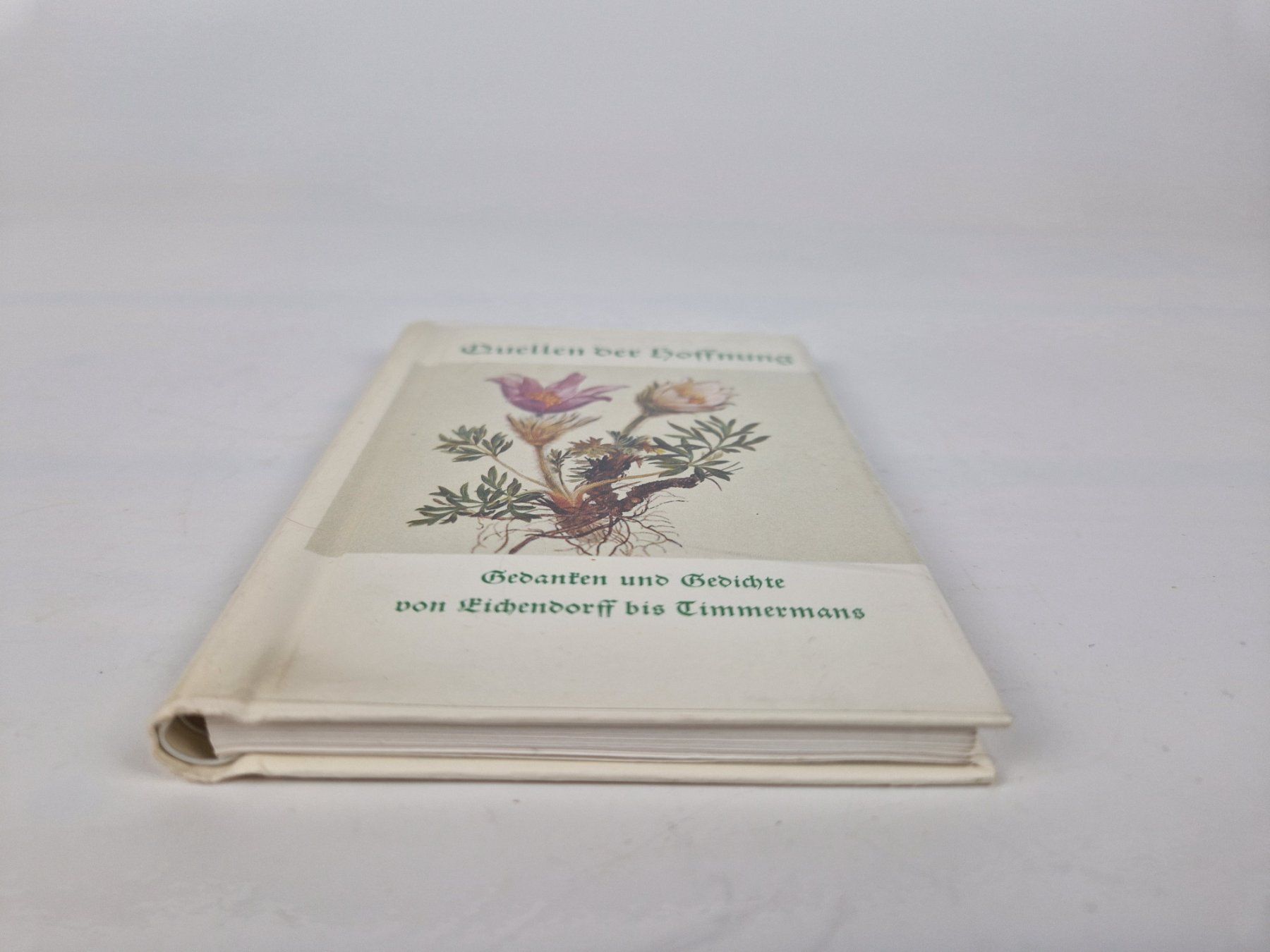 Libri: "Quellen der Hoffnung" – Usato da Muhen venduto da Restwert_Muhen 1