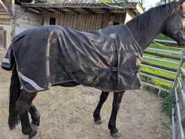 Pferdedecke inkl. Liner 155 cm