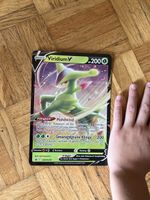 Viridium V - Pokemon Karte - Top Zustand - Jetzt bieten!