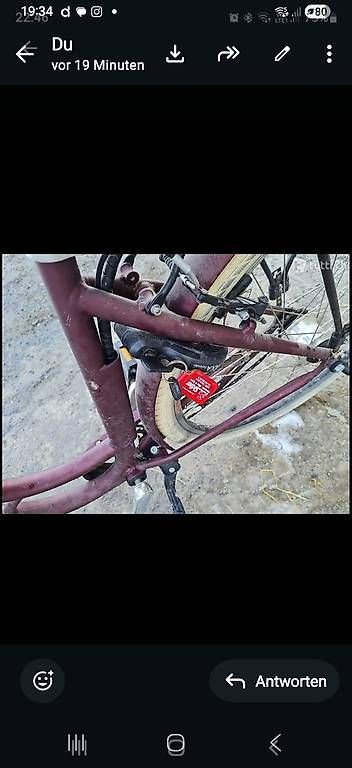 Biciclette: Elektro Velo – Usato da Ballwil venduto da Karinjuon 2