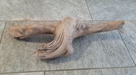 Schwemmholz 2