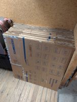 Diverse Zügelboxen (21 Stück)