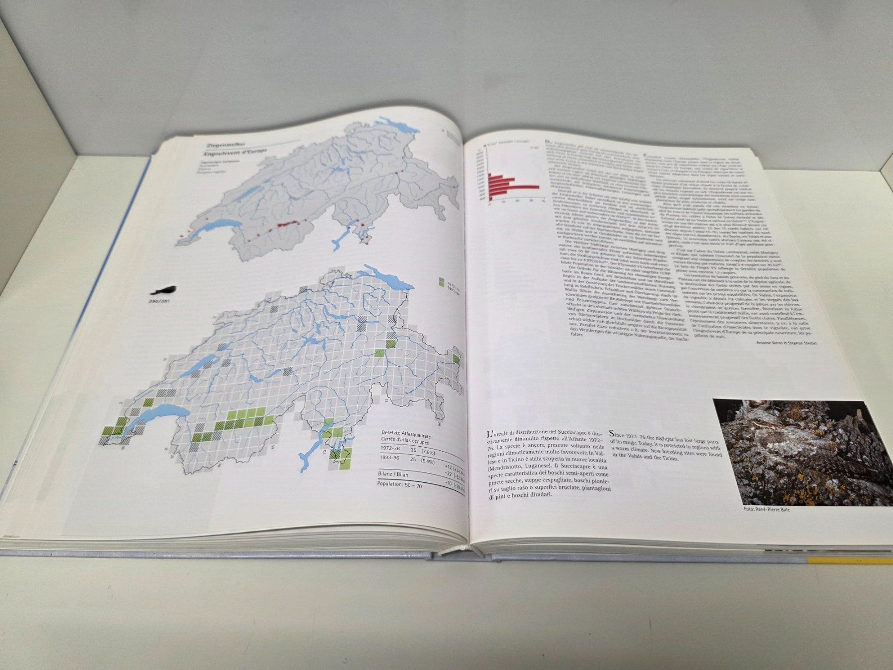 Libri: Schweizer Brutvogelatlas Vogelwarte Sempach – Usato da Herisau venduto da Dinge-in-Bewegung 5