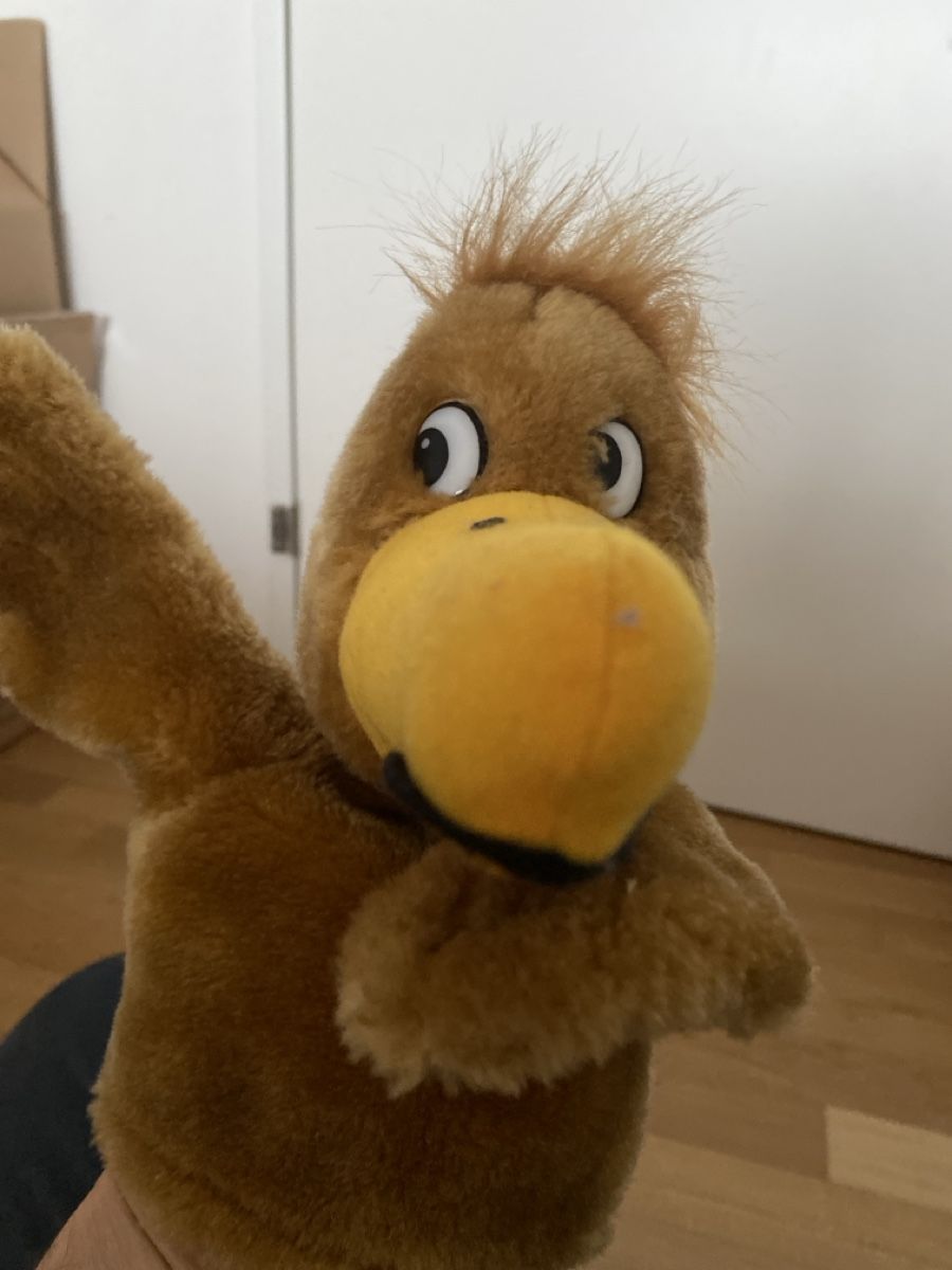 Bambole: Handpuppe Geier oder Kondor – Usato da Zürich venduto da Manuelemilie