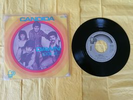 Dawn – Candida