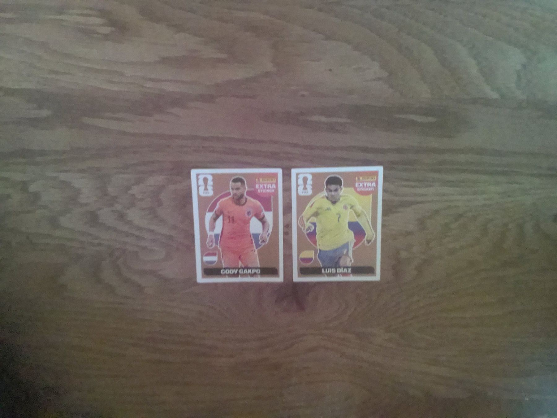 Panini Carte collezionabili: 2 Extra Sticker Panini Bronze WM 2026 – Usato da Frutigen venduto da cf00s742