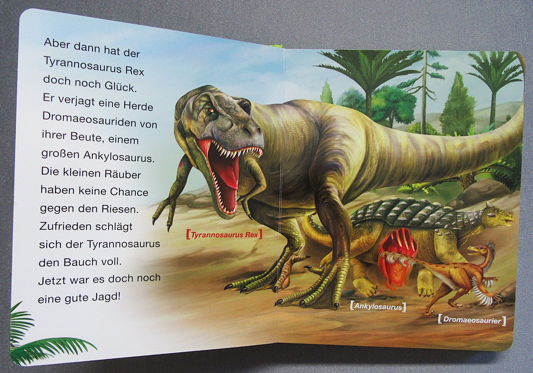 Bücher: Dinosaurier - Dinostarkes Vorlesebuch - Kindersachbuch – Gebraucht aus Auenstein von Padabimbim 4