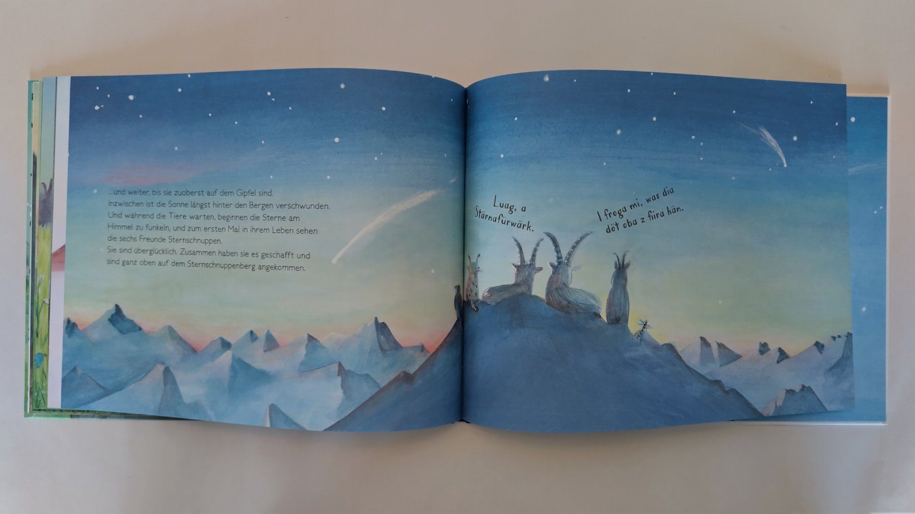 Bücher: Die Steinböcke Gian + Giachen  und der Sternschnuppenberg – Gebraucht aus Bellach von JingleJerry 6