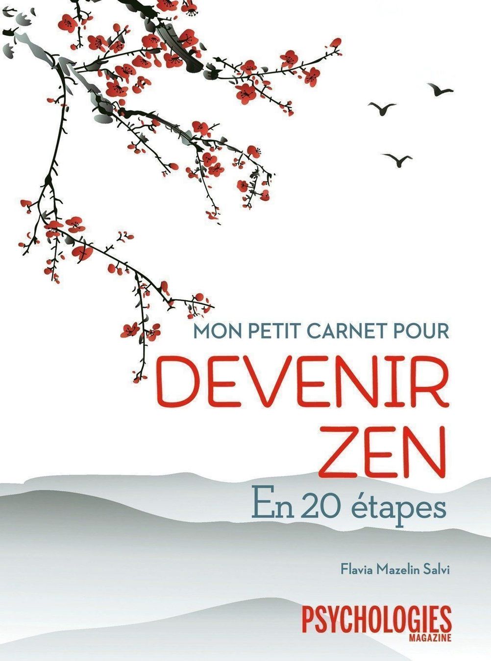Libri: Mon petit carnet pour devenir zen – Usato da Neuchâtel venduto da Dualseele