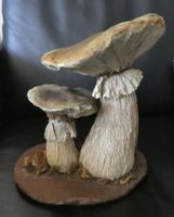 Pilzdeko- Herbstdeko-Dekopilze-Herbstdekoration-Pilze