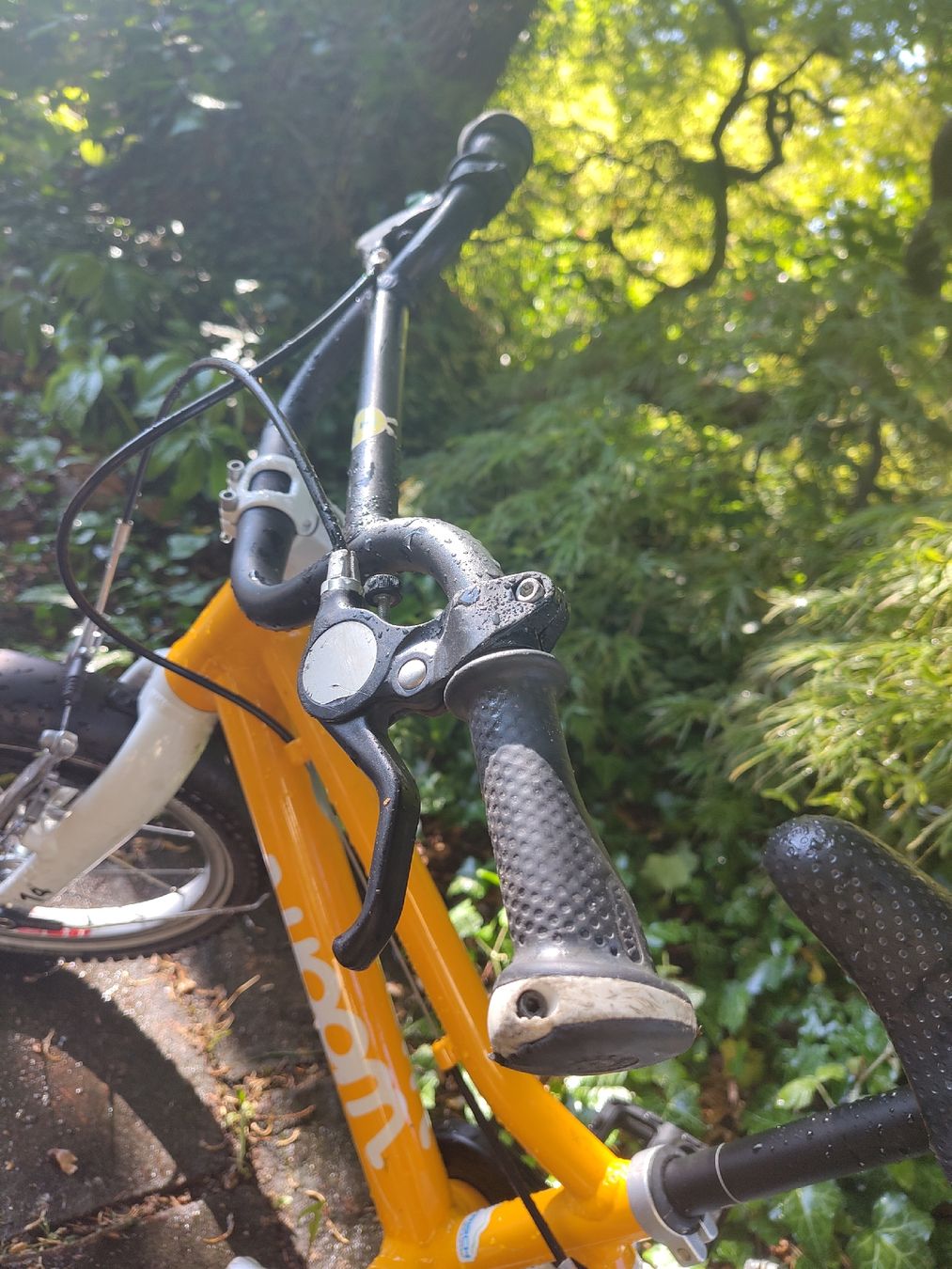 Woom Vélos: Woom 2 – D'occasion à Schaffhausen par nadtschumi 2