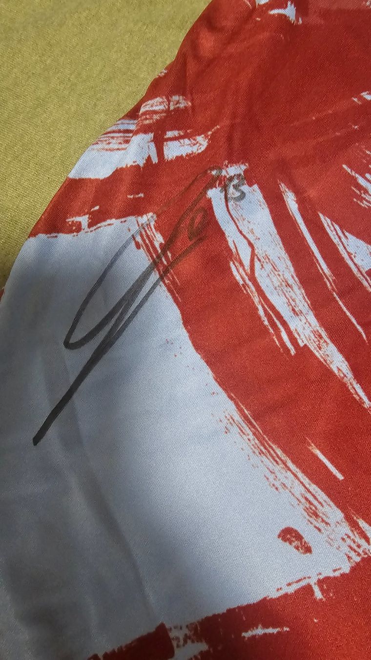 Canottiere & Pantaloni: Ricardo Rodriguez match worn Torino – Usato da St-Prex venduto da sebgav 6