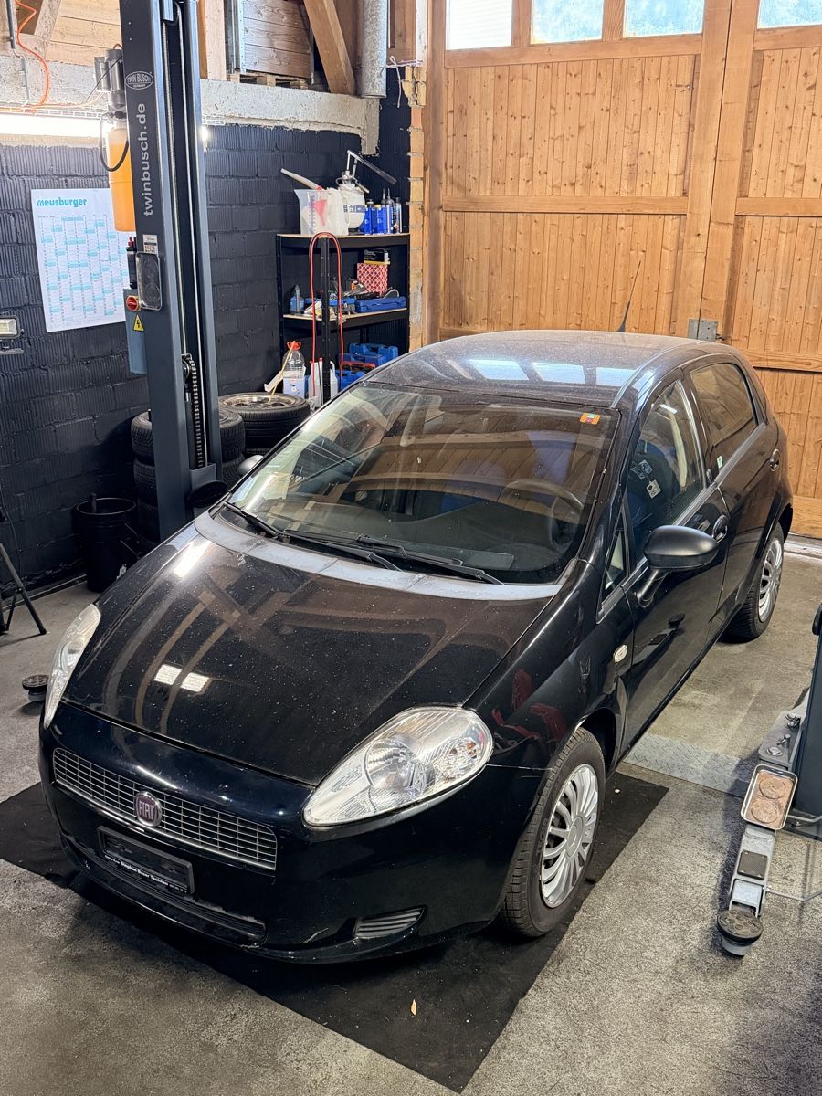 Fiat Automobili: Fiat Punto 1.4 8V – Usato da Amriswil venduto da mak_v9kw