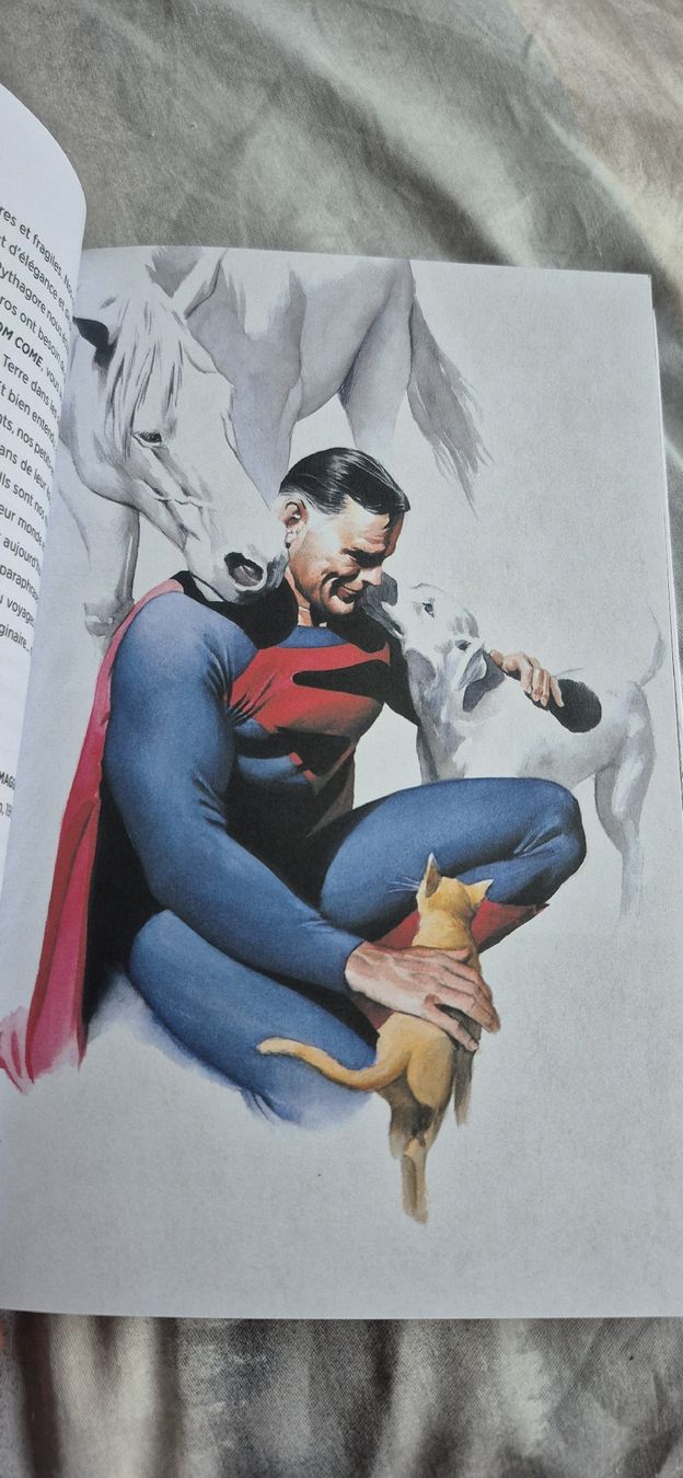 Fumetti: KINGDOM COME DC COMICS RÉCIT COMPLET SUPERMAN BATMAN BD FR – Usato da Grand-Lancy venduto da luc111 5