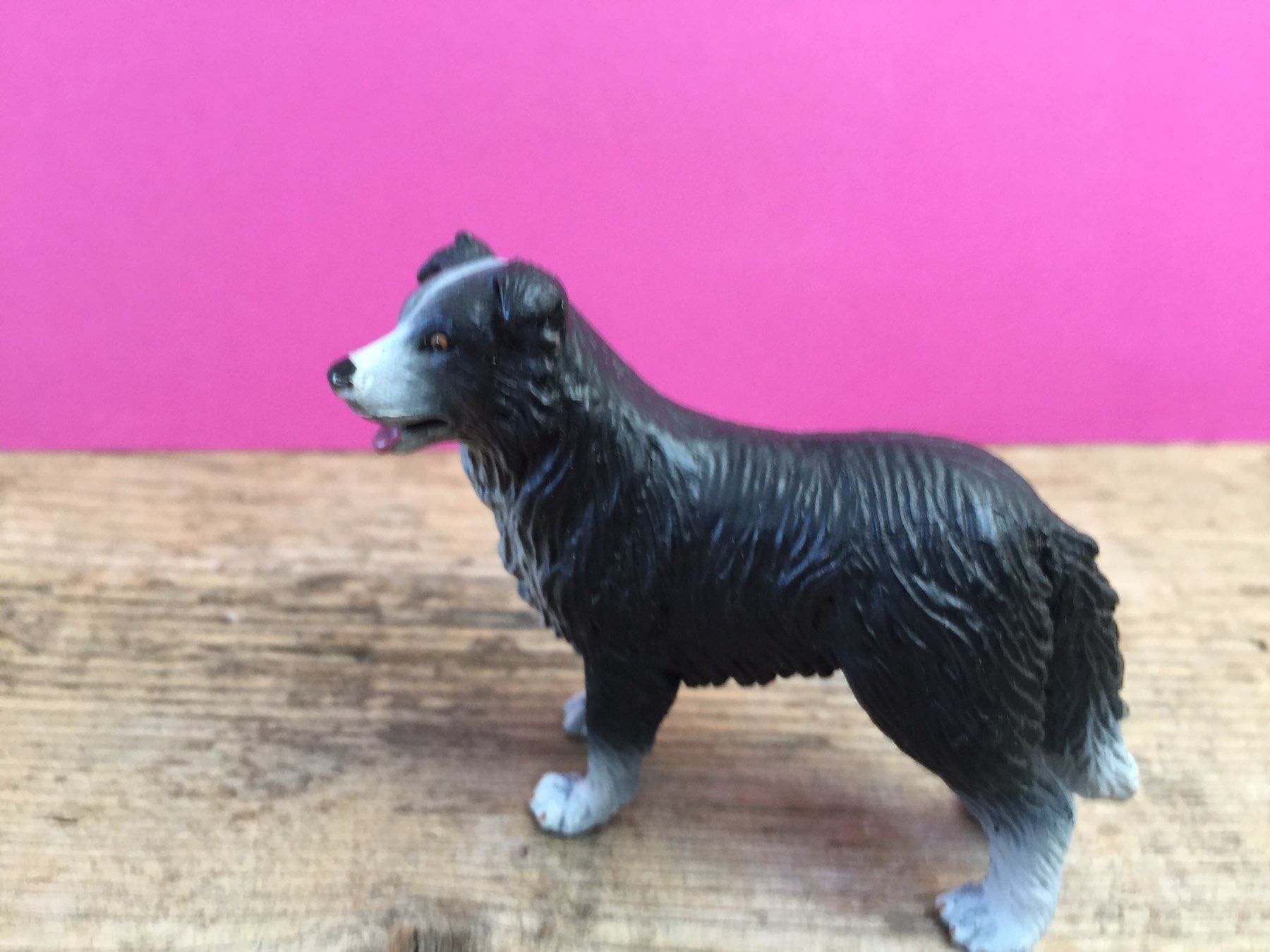 Schleich Statuette: Schleich Border Collie Hund – Usato da Ennetbaden venduto da mapa05 3