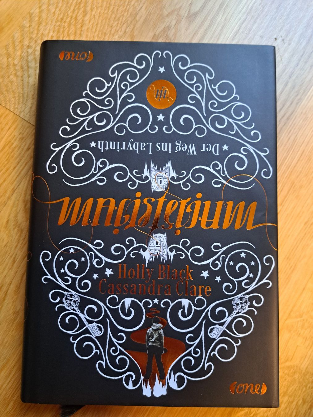 Libri: Fantasyroman Cassandra Clare – Usato da belp venduto da engel94