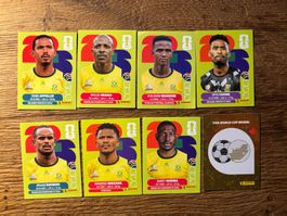 Panini W26 South Africa (1, 3, 4, 7, 8, 9, 18, 20 )