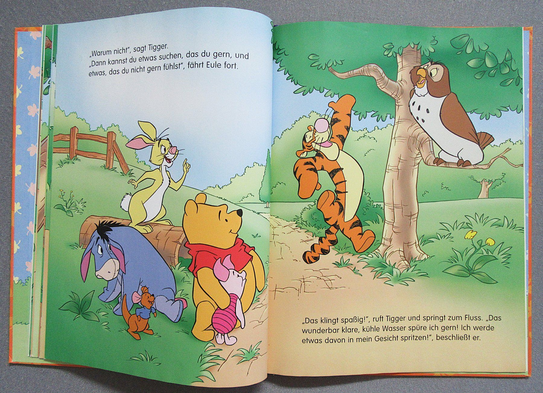 Libri: Winnie Puuh - Ein wunderschöner Tag – Usato da Auenstein venduto da Padabimbim 5