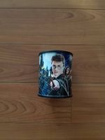 Harry Potter Stiftehalter Puzzle