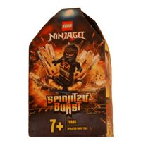 LEGO® NINJAGO 70685 Spinjitzu Burst - Cole