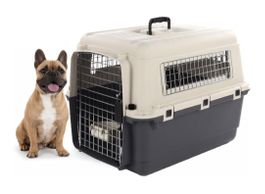 Tiertransportbox M 53 x 67 x 47 cm