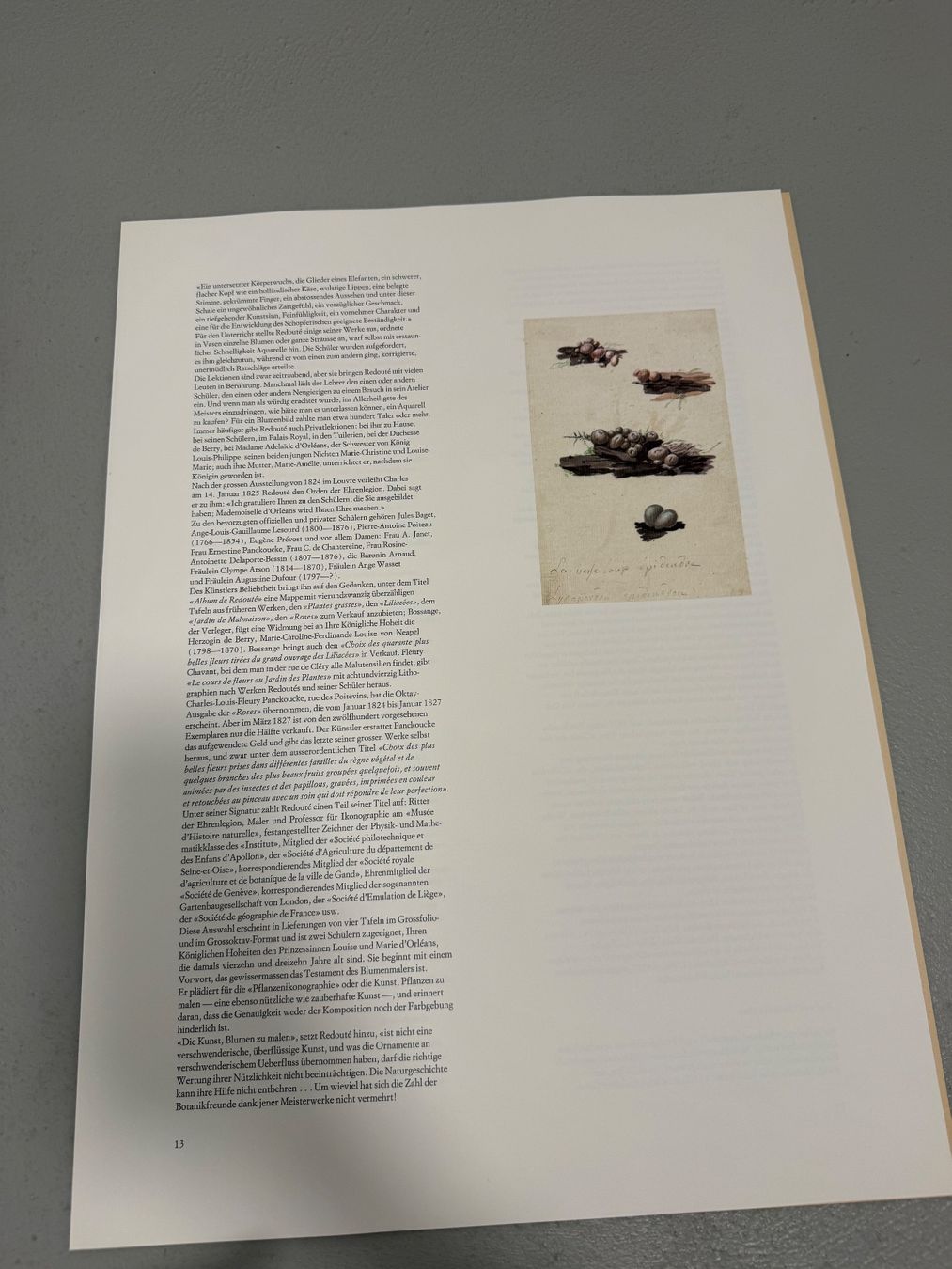 Grafica & Litografie: Pierre Joseph Redouté – Usato da Dielsdorf venduto da BGiezendanner 8