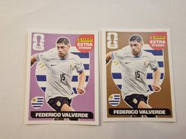 Panini extra Stickers WM 2026