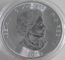 Silber Muenze 1 oz Kanada 2019 Bär gilded