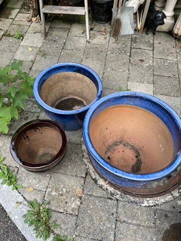 Blumentöpfe: Verschiedene Töpfe – Gebraucht aus Forch von ESELSTEIN 1