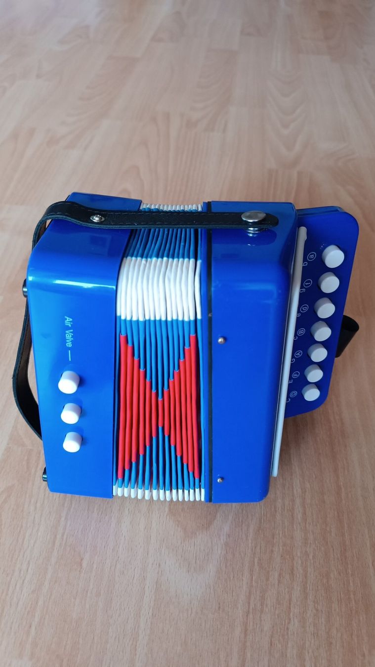 Musikinstrumente: VOGGENREITER Kinder-Akkordeon – Gebraucht aus Flims Dorf von ali_8n8q
