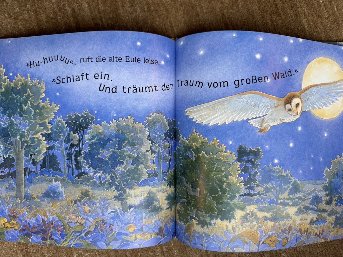 Livres: Bilderbuch - Wenn es Abend wird im Wald – Neuf (Voir description) à Aarau par Kilauea 8