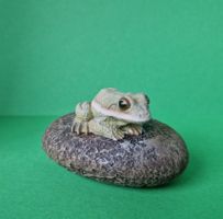 Frosch
