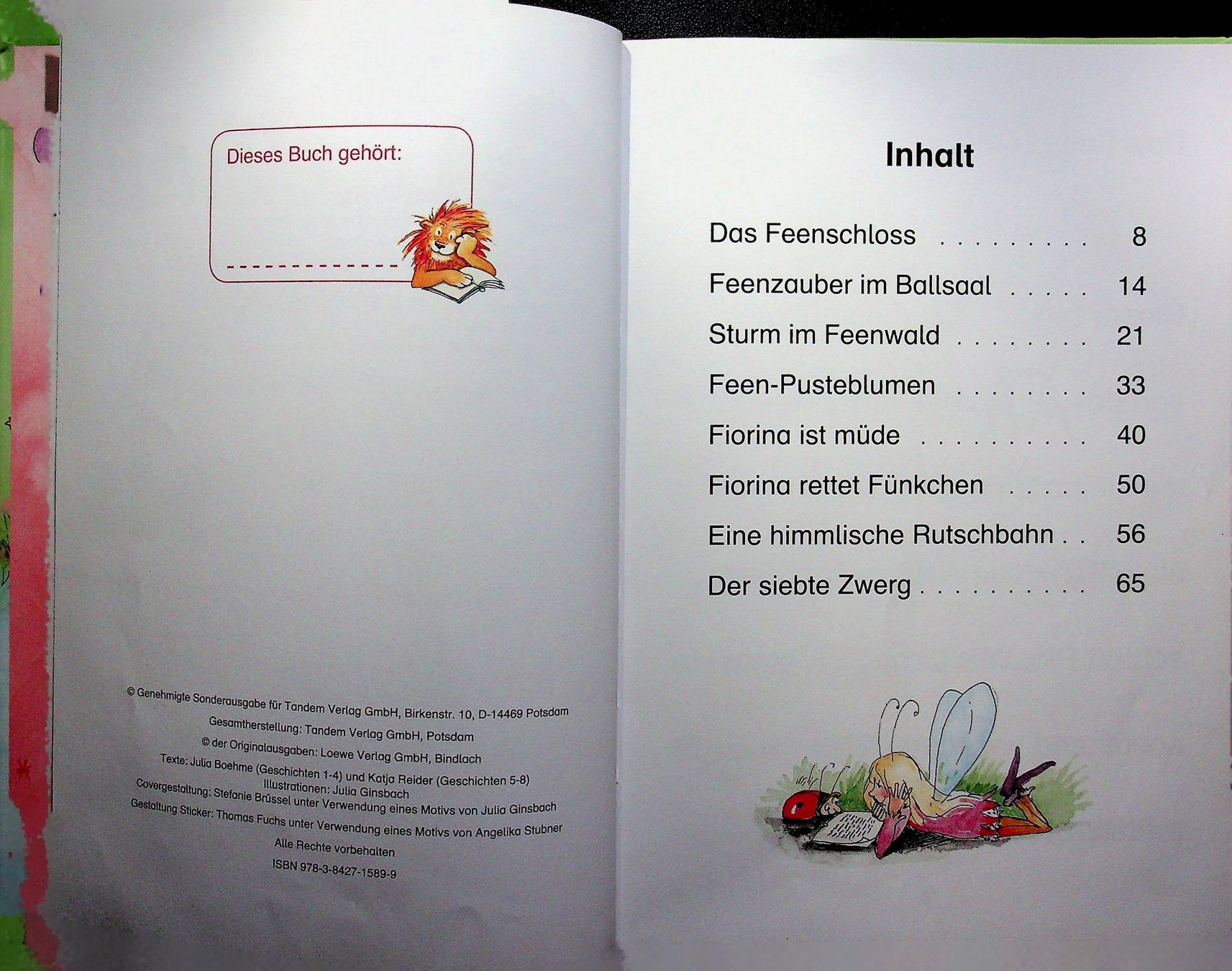 Libri: Erstleser Im Feenland Antolin Kl. 1 – Usato da Reitnau venduto da Zaomir 4