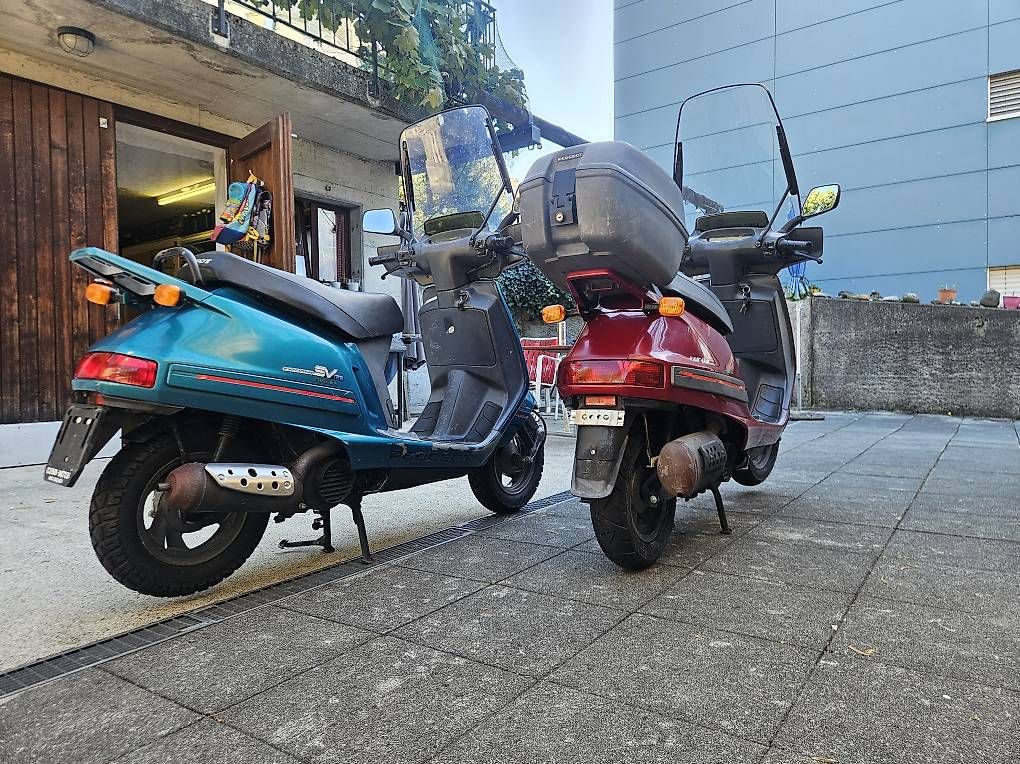 Scooters: Peugeot SV 125 – Gebraucht aus Flüelen von ProfWalker 1