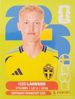 Panini FIFA World Cup SWE 9