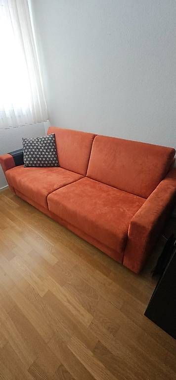 Divani: Sofa | Sofa mit Bettfunktion | Schlafsofa – Usato da Sargans venduto da fsvg