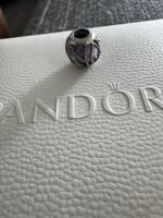 Pandora Charm