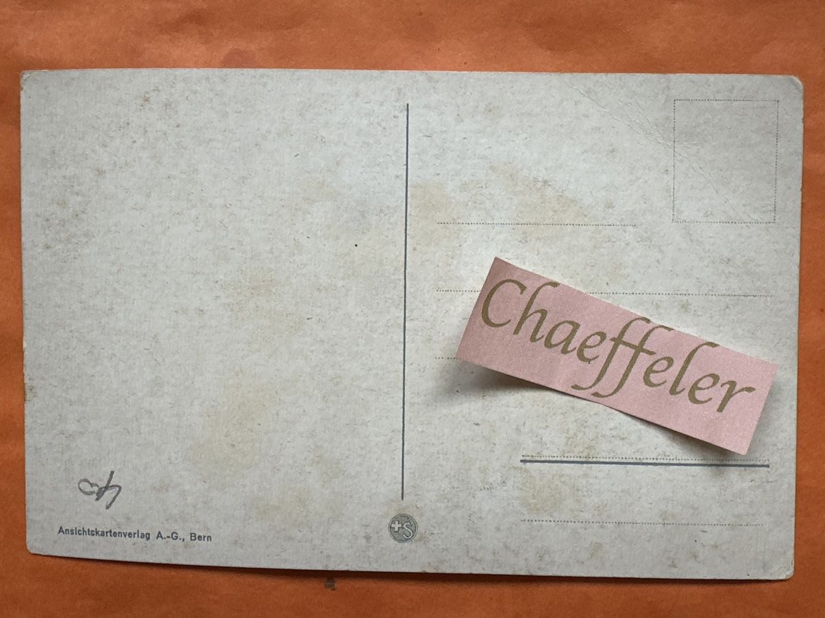 Cartoline postali: 2040 Thun - Thoune.  See Schloss Kirche  – Usato da Zürich venduto da Chaeffeler 1