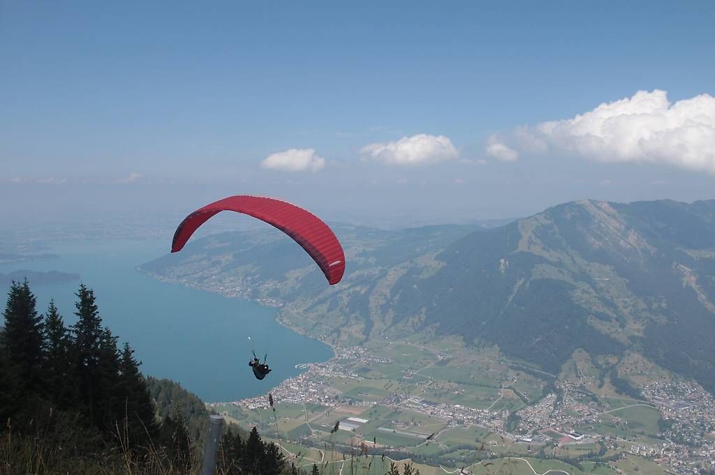 Vol libre: Advance Iota 2 25qm – D'occasion à Zürich par merzenbub